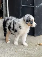 processed/92c8d0c6-554b-48b2-8d26-c4d07d04fad8/facility/b746cee6-42b4-4876-a6ef-683cf2884bf9