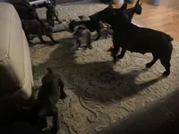 processed/92e4da3b-6d24-4fef-95b5-34c1d96e94d6/facility/4cd172bf-a2f0-40be-8328-44bcdacdc96f