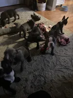 processed/92e4da3b-6d24-4fef-95b5-34c1d96e94d6/facility/a75505ad-732b-40eb-a323-1249766d471a