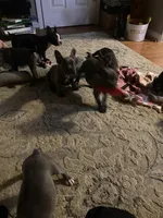 processed/92e4da3b-6d24-4fef-95b5-34c1d96e94d6/facility/e573e4b2-5ee8-4fc5-88d6-c38f22a1487e