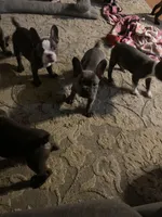 processed/92e4da3b-6d24-4fef-95b5-34c1d96e94d6/facility/f47970d5-bb71-4259-a46d-6c96d51efab5