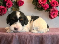 processed/92ff2662-64b1-4fea-bb92-14bfa085afab/listing/037fff07-6f51-403b-93a0-a8d3742c623b/6d54a159-7ecf-4c95-af58-d6b1613f4974