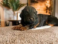 processed/92ff2662-64b1-4fea-bb92-14bfa085afab/listing/c412699e-109c-483f-af00-ec5a8108fbe4/02d18562-f5d9-4728-939f-3818432338a2