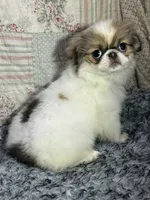 processed/930dc6f8-641f-4588-8e3f-09014cfd27dc/listing/783e839e-00bc-4ca8-bd70-81f873e101cc/0753bbbf-f277-48c4-aae7-65656df7d029