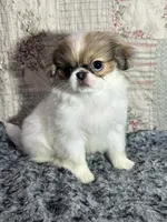 processed/930dc6f8-641f-4588-8e3f-09014cfd27dc/listing/783e839e-00bc-4ca8-bd70-81f873e101cc/07e3b14c-44b5-4201-b35b-f6f98c12c493