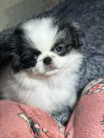 processed/930dc6f8-641f-4588-8e3f-09014cfd27dc/listing/7fa5f8bc-43d0-4fc0-8caf-1a44560a03a1/080207af-197f-410a-ba3b-58bb4068dc3d