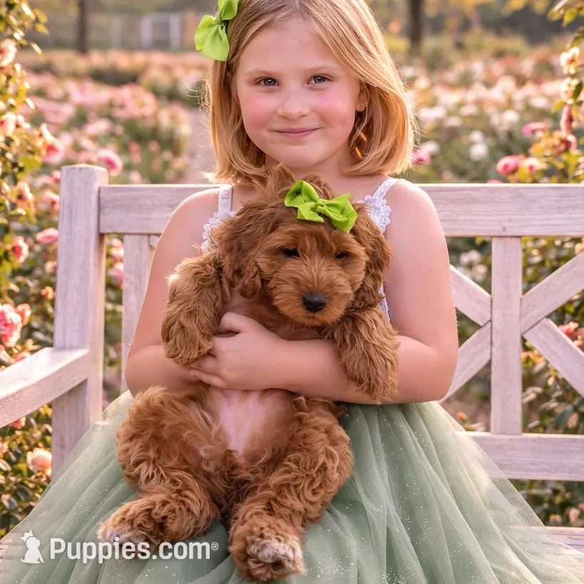 processed/930ed168-f9de-4a71-bd1f-6d98521a32c9/facility/51f71501-ba81-4b28-a3b7-bd04a83cb413