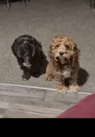 processed/930ed168-f9de-4a71-bd1f-6d98521a32c9/facility/56b673e4-fe85-4835-863c-7c7c6eea1b53