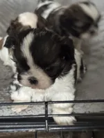 processed/9314f9d4-89b8-4977-a81a-dd39e63ffe54/listing/877bbe4b-4a9e-4406-9716-2cefeac55297/8b4d7853-1f5b-4ad2-a7ab-9eb77f859d5f