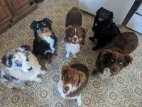 processed/9324c878-b2a3-436a-a8cc-5696f8f3e300/facility/29cff3ee-892f-4b04-bbbd-45c251f038f4