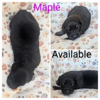 processed/9324c878-b2a3-436a-a8cc-5696f8f3e300/listing/7bc99f3c-aedf-455e-857c-75b498fd58ed/03bf9e49-dd20-4ec1-96e2-e58401c6a130