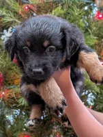 processed/9324c878-b2a3-436a-a8cc-5696f8f3e300/listing/7bc99f3c-aedf-455e-857c-75b498fd58ed/0abbe731-61f1-49f9-b9b9-9448d6d08b98