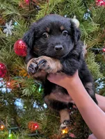 processed/9324c878-b2a3-436a-a8cc-5696f8f3e300/listing/7bc99f3c-aedf-455e-857c-75b498fd58ed/23358acb-7719-480f-97b1-4e2c9acf5bbd