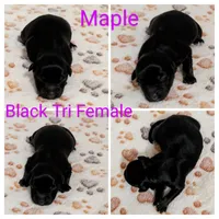 processed/9324c878-b2a3-436a-a8cc-5696f8f3e300/listing/7bc99f3c-aedf-455e-857c-75b498fd58ed/6af06ee1-66a5-48f7-9dee-471c2029edf6