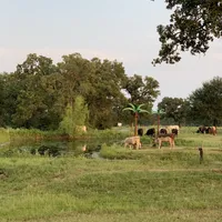 processed/932cf51a-087c-4528-8c48-38f0a4838b4c/facility/70f68ea9-331d-4735-a664-fe8d1b36a60a