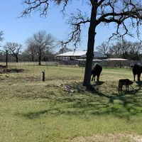 processed/932cf51a-087c-4528-8c48-38f0a4838b4c/facility/d2884a77-0363-43d4-a874-6a6947344022