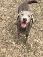 processed/932cf51a-087c-4528-8c48-38f0a4838b4c/listing/e1c29071-3ba8-4b26-93f9-a9533836d3eb/73c82808-f518-4df2-b2c9-8ab27cf3e3c3