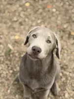 processed/932cf51a-087c-4528-8c48-38f0a4838b4c/listing/e1c29071-3ba8-4b26-93f9-a9533836d3eb/75622800-c9d4-4855-863d-dcd1f004cd91