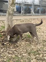 processed/932cf51a-087c-4528-8c48-38f0a4838b4c/listing/e1c29071-3ba8-4b26-93f9-a9533836d3eb/81dc9694-c876-4338-879d-d2b0e0b212ce