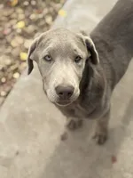 processed/932cf51a-087c-4528-8c48-38f0a4838b4c/listing/e1c29071-3ba8-4b26-93f9-a9533836d3eb/d01028c2-8f10-4532-9818-0fedd3238a48