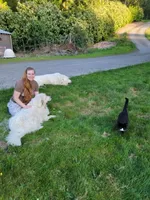 processed/93310653-0170-4756-959b-634a9d28ba1a/facility/81f1a0e4-8822-40cb-9b4b-62ad3c072822