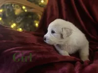 processed/93310653-0170-4756-959b-634a9d28ba1a/listing/18618eea-0048-4d0e-838b-8027c41ef7af/39e6a512-3b27-465d-b7e2-3bbdcf2ba3f7