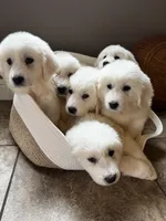 processed/93310653-0170-4756-959b-634a9d28ba1a/listing/18618eea-0048-4d0e-838b-8027c41ef7af/6a05855d-9d1f-4b3b-92b8-41f1877a48e2