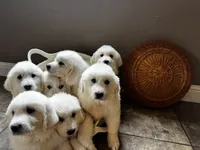 processed/93310653-0170-4756-959b-634a9d28ba1a/listing/18618eea-0048-4d0e-838b-8027c41ef7af/7ce91b49-9457-462f-93c9-ba3a0c8f2914