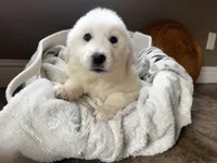 processed/93310653-0170-4756-959b-634a9d28ba1a/listing/18618eea-0048-4d0e-838b-8027c41ef7af/b2702421-bc5a-4b8c-9457-d729f29b6f29