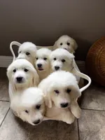 processed/93310653-0170-4756-959b-634a9d28ba1a/listing/18618eea-0048-4d0e-838b-8027c41ef7af/c024d2ab-abc3-460f-8459-aae9867a08ed