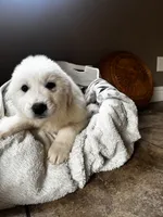 processed/93310653-0170-4756-959b-634a9d28ba1a/listing/18618eea-0048-4d0e-838b-8027c41ef7af/dca3b833-4b41-4823-bd4e-f7ee986881cb