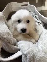 processed/93310653-0170-4756-959b-634a9d28ba1a/listing/1d3daa2e-2c65-4834-bb06-c8d3d2cba9d0/188964a1-5630-421d-8afd-f8941c4a586f