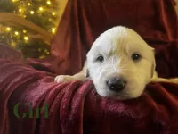 processed/93310653-0170-4756-959b-634a9d28ba1a/listing/1d3daa2e-2c65-4834-bb06-c8d3d2cba9d0/29925492-e957-45a5-920b-5b9990db1ab5