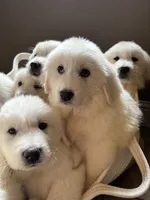 processed/93310653-0170-4756-959b-634a9d28ba1a/listing/1d3daa2e-2c65-4834-bb06-c8d3d2cba9d0/4ac7b9ee-1341-425a-ad9b-95cefd4850e1