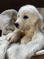 processed/93310653-0170-4756-959b-634a9d28ba1a/listing/1d3daa2e-2c65-4834-bb06-c8d3d2cba9d0/73c662e5-b633-414d-b47e-321ae5e2efb3