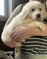 processed/93310653-0170-4756-959b-634a9d28ba1a/listing/1d3daa2e-2c65-4834-bb06-c8d3d2cba9d0/99b68eb2-b509-4197-8d96-dff3805038a9