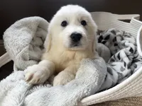 processed/93310653-0170-4756-959b-634a9d28ba1a/listing/1d3daa2e-2c65-4834-bb06-c8d3d2cba9d0/9da5ef24-e82e-4175-a1a0-7717e60ed805