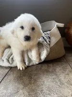 processed/93310653-0170-4756-959b-634a9d28ba1a/listing/8fd8e1c9-4327-4af7-9dfc-1d2ba0942352/13a4fef5-035f-4758-b0c5-c633cce7f124