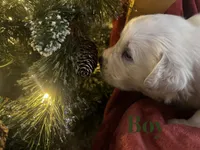 processed/93310653-0170-4756-959b-634a9d28ba1a/listing/8fd8e1c9-4327-4af7-9dfc-1d2ba0942352/6fa996a2-8402-439c-97c9-031d7c40af5f