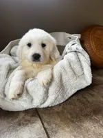 processed/93310653-0170-4756-959b-634a9d28ba1a/listing/8fd8e1c9-4327-4af7-9dfc-1d2ba0942352/92fec59a-3bfc-4042-a473-cf09717ec529