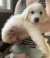 processed/93310653-0170-4756-959b-634a9d28ba1a/listing/8fd8e1c9-4327-4af7-9dfc-1d2ba0942352/bc10af12-eacc-4b17-a708-52b7dcca3e89