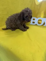 processed/933872d9-d63b-4000-bcb8-dd8a7687ff01/listing/4234d9f1-0168-4f9c-9059-9d0579fbb8e8/778f71d3-e495-4a29-9eb9-bc49f7e4fcce