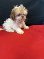 processed/933872d9-d63b-4000-bcb8-dd8a7687ff01/listing/6ac1cc1b-3d95-490d-8170-1e86bd3410c8/d0206cea-bc73-43a9-8bb0-85c636b412ee