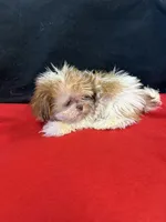 processed/933872d9-d63b-4000-bcb8-dd8a7687ff01/listing/6ac1cc1b-3d95-490d-8170-1e86bd3410c8/efdd91d0-f205-402b-b644-91fbb2b5d74a