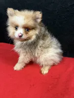 processed/933872d9-d63b-4000-bcb8-dd8a7687ff01/listing/7cd871a3-c1ca-4070-b510-4ebd70e1f610/5b0ff5e2-702f-4e5d-b349-66149c13793a