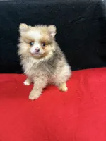 processed/933872d9-d63b-4000-bcb8-dd8a7687ff01/listing/7cd871a3-c1ca-4070-b510-4ebd70e1f610/6f57bb8f-5dd8-4e89-a653-be79b23d2125