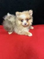 processed/933872d9-d63b-4000-bcb8-dd8a7687ff01/listing/7cd871a3-c1ca-4070-b510-4ebd70e1f610/b96a2a34-80e9-4023-96f7-b0059c426919