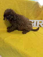 processed/933872d9-d63b-4000-bcb8-dd8a7687ff01/listing/ab55ee87-efab-459a-ba9e-e15b4f8c2152/e2a91946-fdea-43d6-a69b-d9b2bc80ed9f