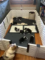 processed/93407e85-d9aa-4a76-977c-9ffae505aa07/facility/01e868ea-d810-4e1a-a38a-9bdf10315d24