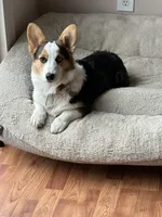 processed/93407e85-d9aa-4a76-977c-9ffae505aa07/facility/479e6488-8724-44ba-87dc-6bb4d7d0bc1c